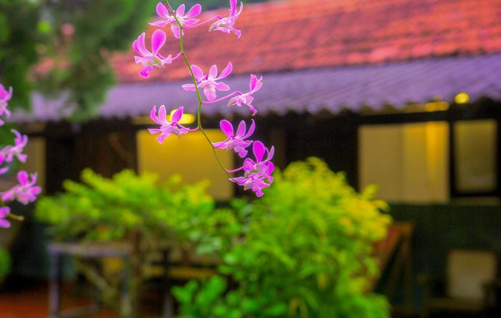 Bayview Seafood Rest Villa Weligama Buitenkant foto